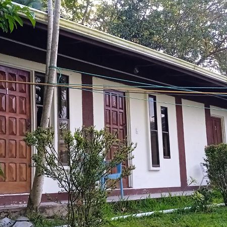 Hostel Manuel Antonio Park Jungle エクステリア 写真
