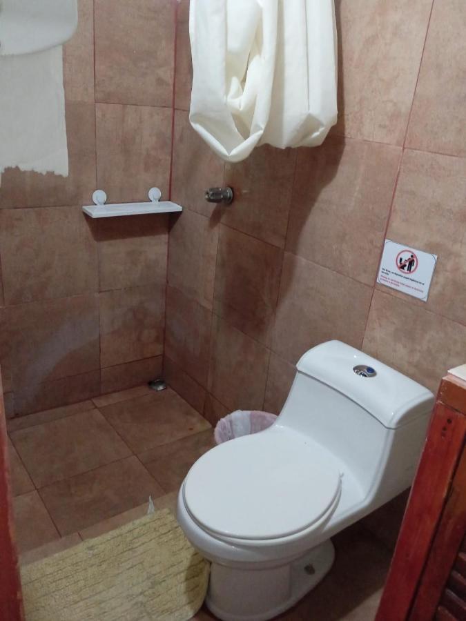 Hostel Manuel Antonio Park Jungle エクステリア 写真